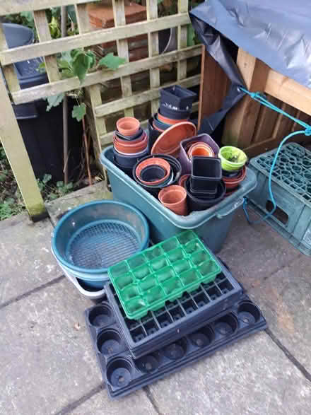 Photo of free Lot of pots and seed trays (Uplands, STROUD) #1