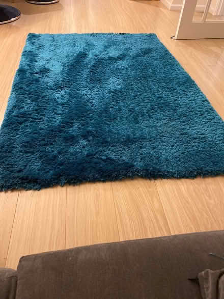 Photo of free Dark turquoise soft rug (North Horsham) #1