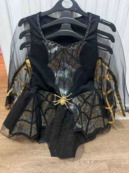 Photo of free Girl fancy dress costume (CR2) #1