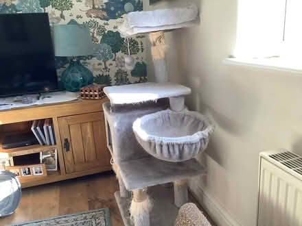 Photo of free Cat tree (Bricknells Meadow OX28) #1