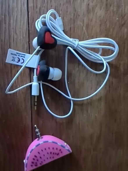 Photo of free Wired headphones and splitter (Woodley RG5) #2