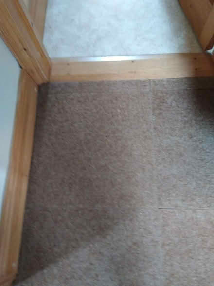 Photo of free Carpet tiles (Halesworth IP19) #1