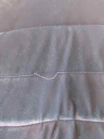 Photo of free Dark green velour puffer coat (Crystal Palace, SE19) #3