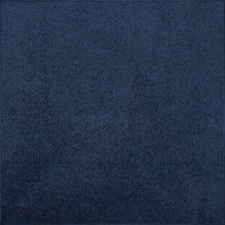 Photo of free huge area rug - no stains (2 NEPTUNE DRIVE, North York) #1