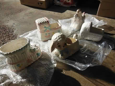 Photo of free China Baby planters (Wexford) #3