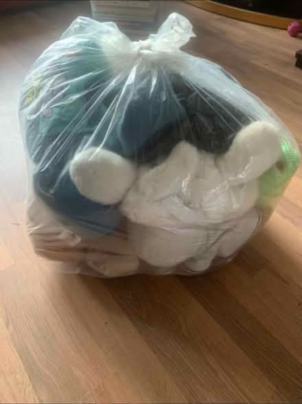Photo of free Bag of teddy bears (Shirley B90) #1