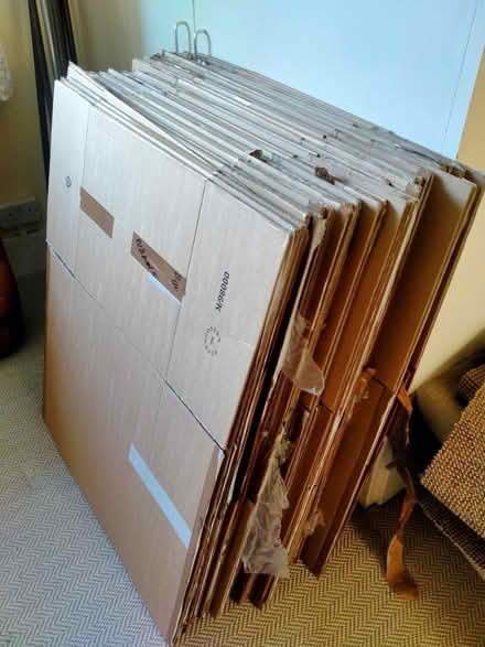 Photo of free Packing Boxes (Bexhill on sea TN40) #1