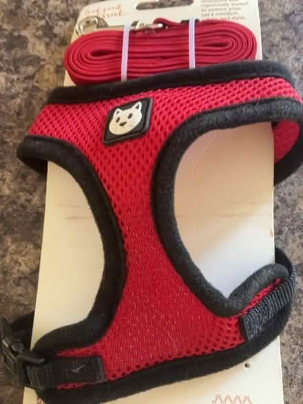 Photo of free Cat harness and lead (Chaddesden DE21) #1