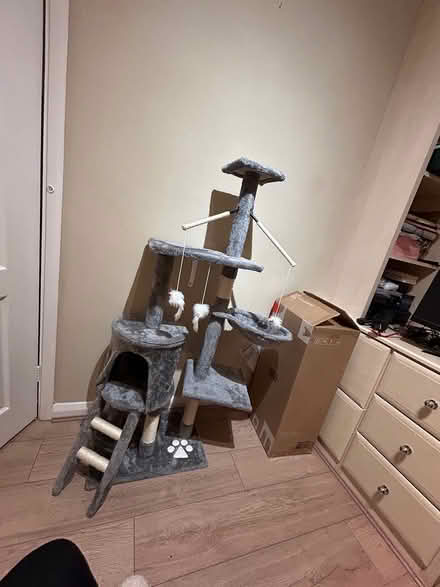 Photo of free Cat tree (West horndon) #1