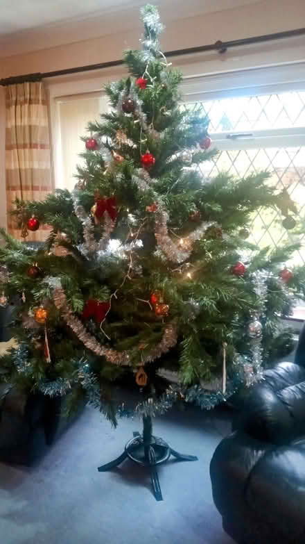 Photo of free Christmas tree (East Grinstead RH19) #1