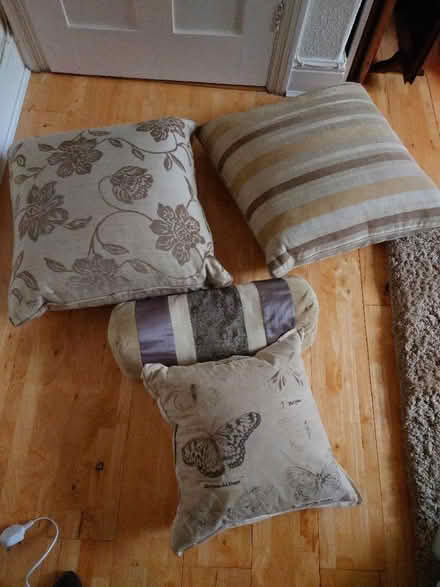 Photo of free 2 large and 1 smaller cushions plus a bolster ushion (Bear Flat) #1