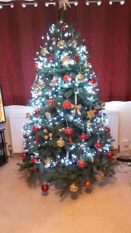Photo of free Christmas tree and decorations (Benhilton SM1) #1