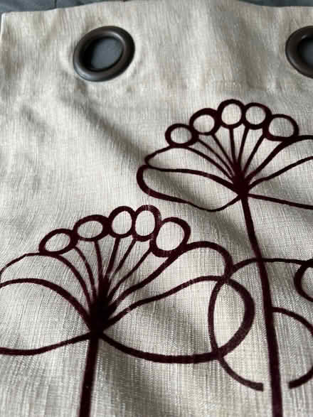 Photo of free Tab top curtains (Cleghorn ML11) #2