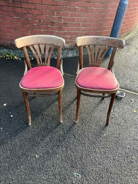 Photo of free Dining chairs (Horfield Bristol) #1