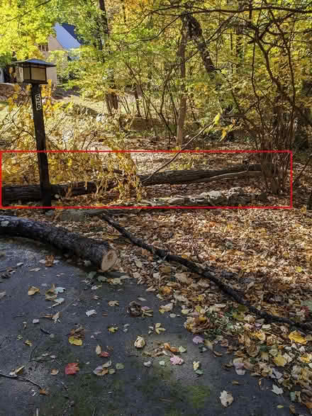 Photo of free about 1/2 cord firewood (Groton) #2