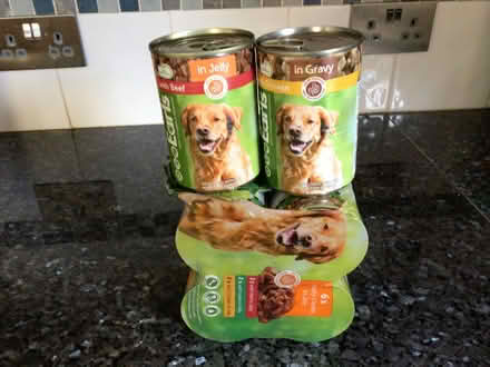 Photo of free Dogfood (Willaston CW5) #1