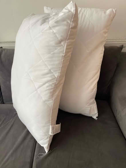 Photo of free Almost New 2 pillows (enfield) #1