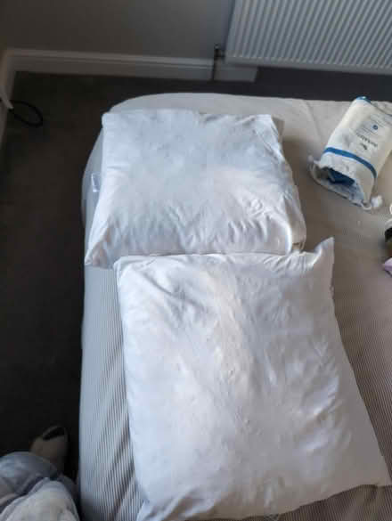 Photo of free Feather pillows (LS26 Great Preston) #1
