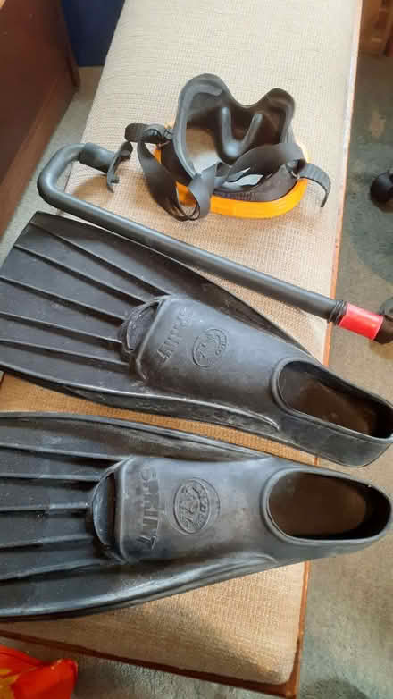 Photo of free Snorkel, Flippers and Mask (Sandilands CR0) #1