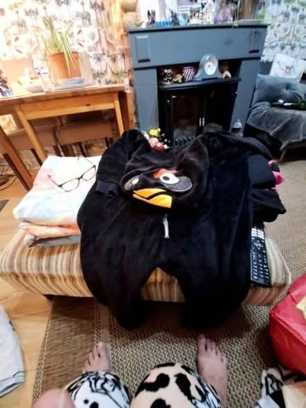 Photo of free Angry bird onesie (Seaside BN22) #1