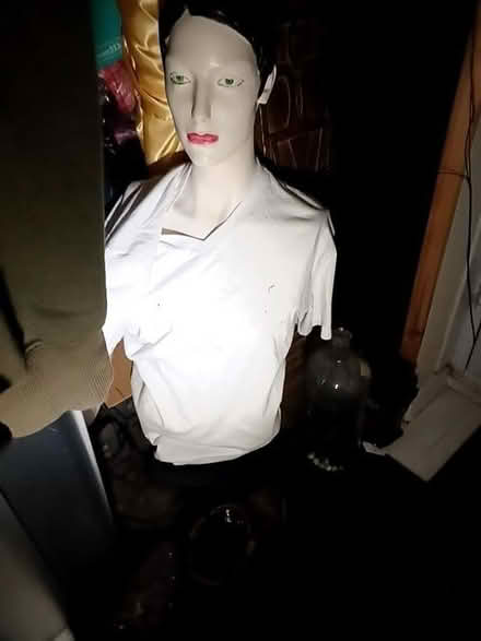 Photo of free Half mannequin (Tuckswood NR4) #1