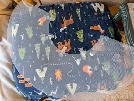 Photo of free Dog cone (Belper DE56) #2
