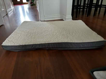 Photo of free Large dog bed (Glasgow Parkhead G31) #1