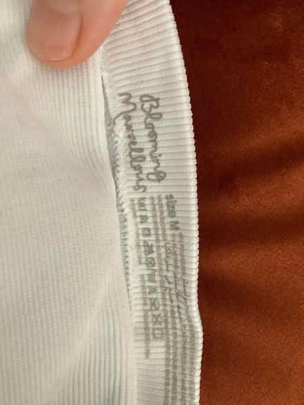 Photo of free Pregnancy support belt (Whitemans Green RH17) #2