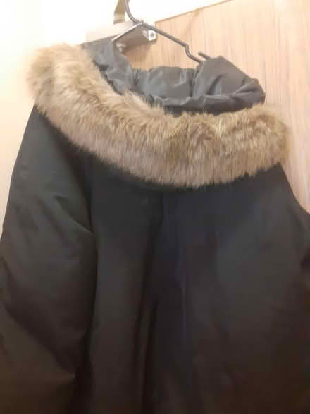 Photo of free 2XL Winter Coat (East York) #2