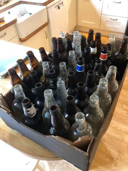 Photo of free Empty beer bottles for home brew (SG4 Hitchin) #1