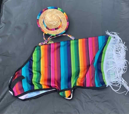 Photo of free Dog costume (KT17 - Stoneleigh) #1