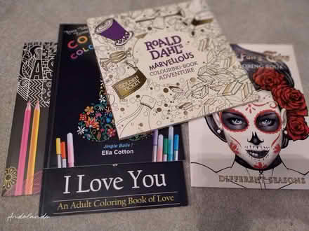 Photo of free Colouring books (Berryfields HP18) #1