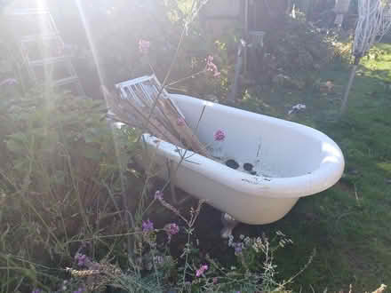 Photo of free Roll top acrylic bath and cloakroom toilet (Pittville GL52) #2