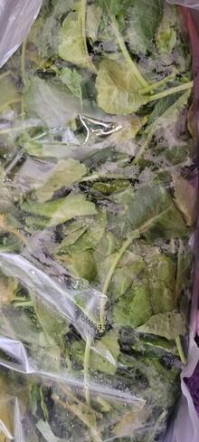 Photo of free large bag of spinach #1