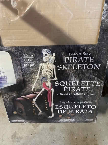 Photo of free Halloween decorations (Pleasant Hill) #2