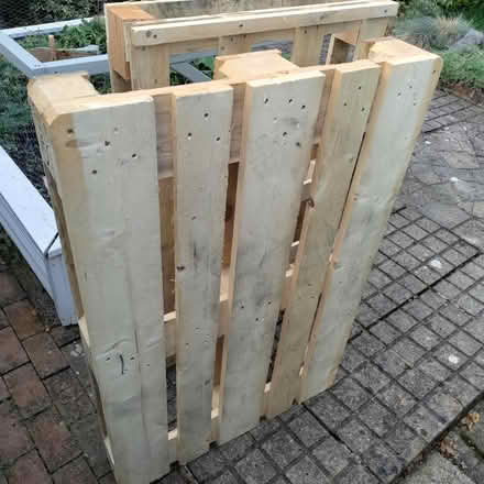 Photo of free Wood pallets (Sarisbury Green) #1