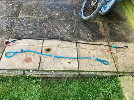 Photo of free Dog leads (RG8 Pangbourne) #1