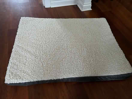 Photo of free Large dog bed (Glasgow Parkhead G31) #2