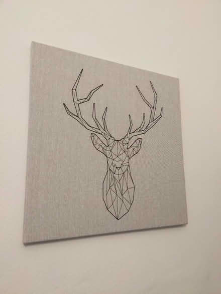 Photo of free Stag head (Bruntsfield EH10) #1