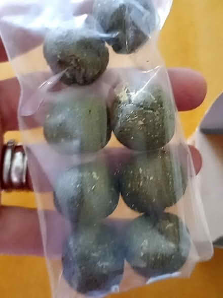 Photo of free Catnip balls (Harrogate HG2) #2