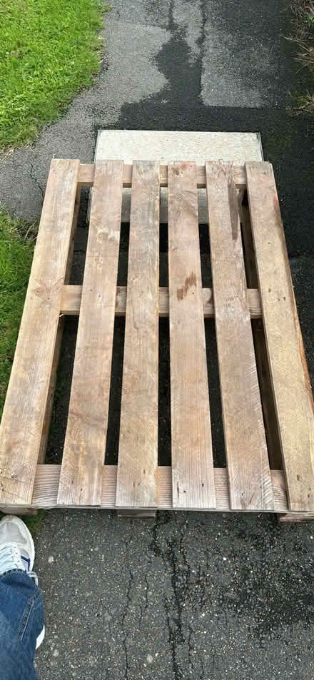 Photo of free Heavy duty pallet (Polegate BN26) #1