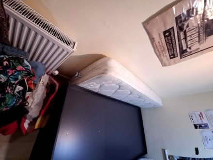 Photo of free Argos teen to young adults cabin bed (Seaside BN22) #2
