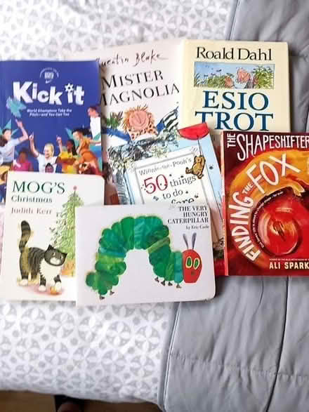 Photo of free Collection of kids books (Wivenhoe CO7) #1