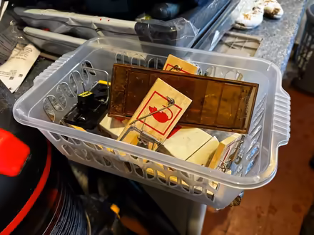 Photo of free Collection of Mouse Traps (Shire Oak, WS8) #1