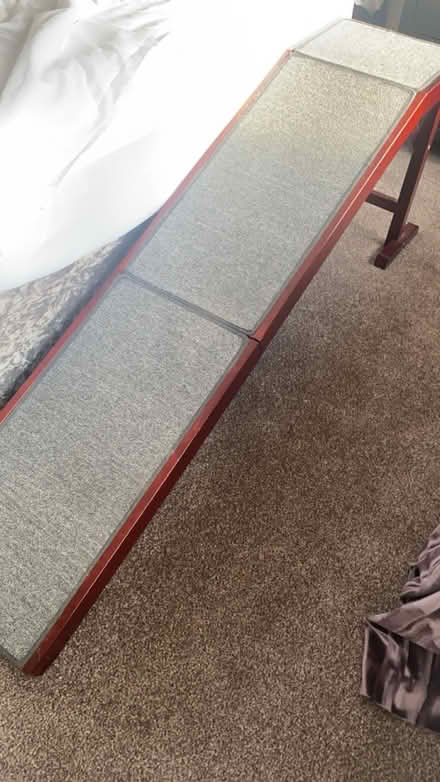 Photo of free Sturdy Dog/Cat Ramp (Bloxwich WS3) #1