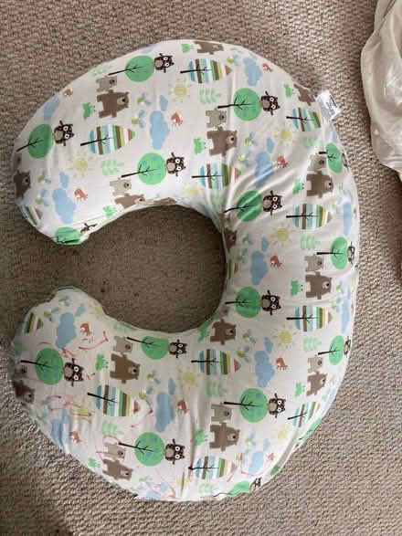 Photo of free Boppy feeding cushion (Whitemans Green RH17) #1