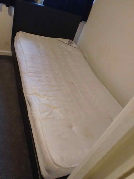 Photo of free Single bed and mattress (B18) #1