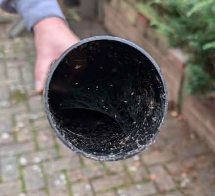 Photo of free Downpipe for guttering - 231cm (IP4) #2