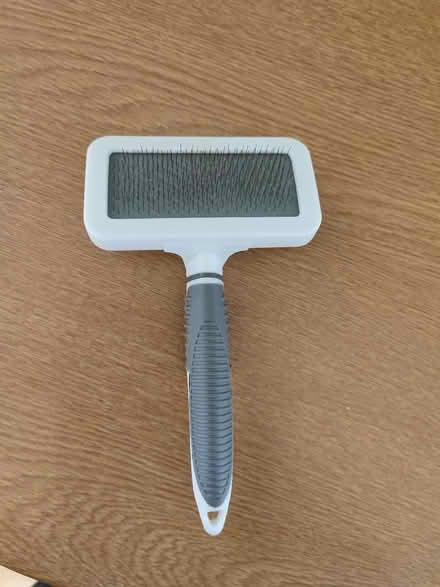 Photo of free Dog brush (Frechville) #1