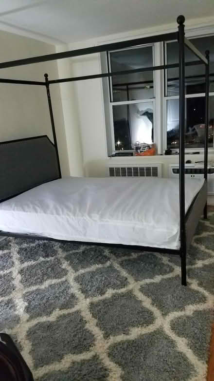 Photo of free Queen canopy bed frame + canopy (Flatbush) #2